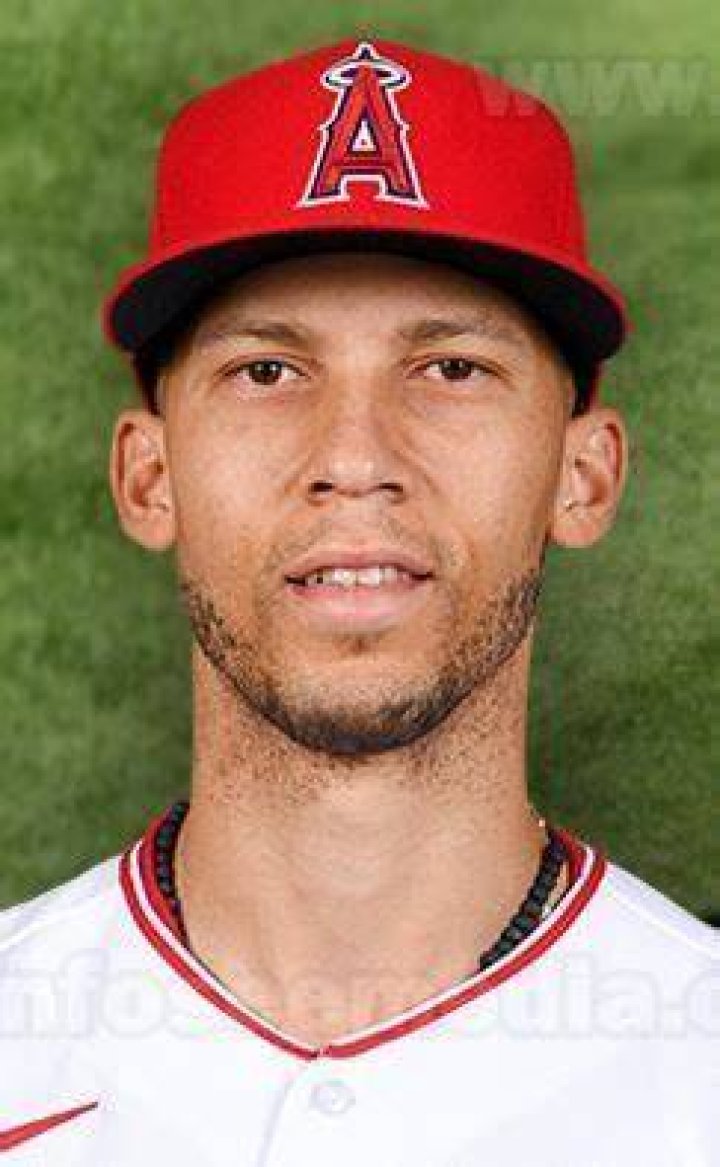 Andrelton Simmons Net Worth