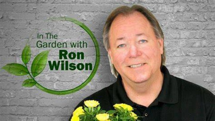 Ron Wilson Ron Wilson